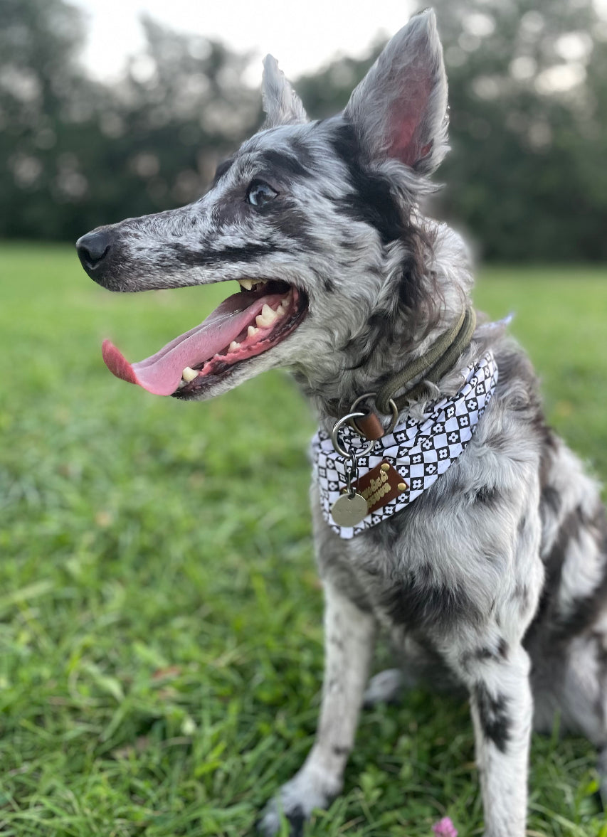 Old school pet bandana