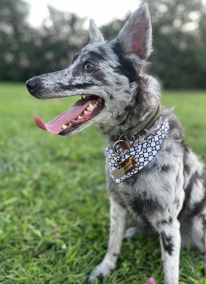 Old school pet bandana