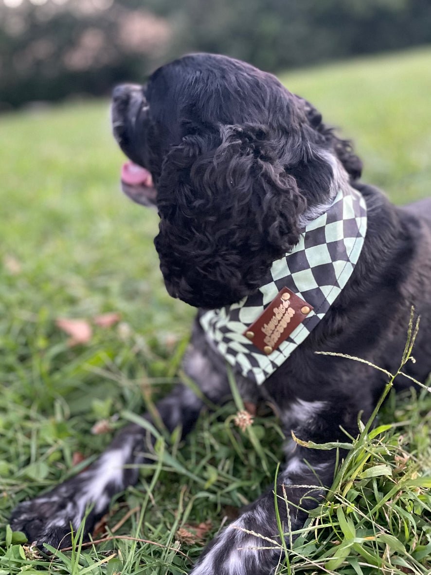 Checkered pet bandana