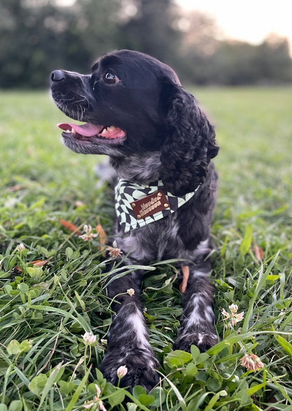 Checkered pet bandana