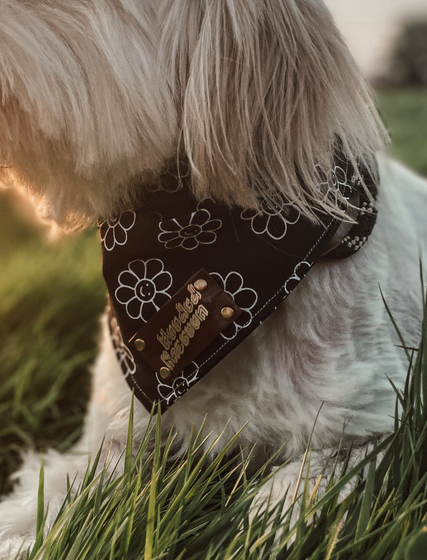 Hippie pet bandana