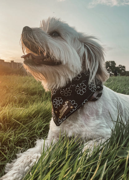 Hippie pet bandana